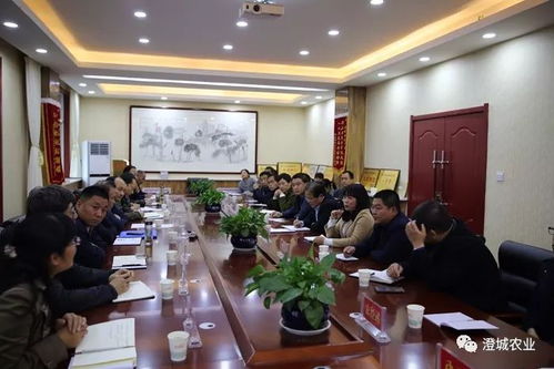 省市領(lǐng)導來澄調(diào)研產(chǎn)業(yè)脫貧技術(shù)服務(wù)工作