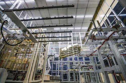 綿陽科技城觀察 技術服務賦能，新型顯示產業育新枝